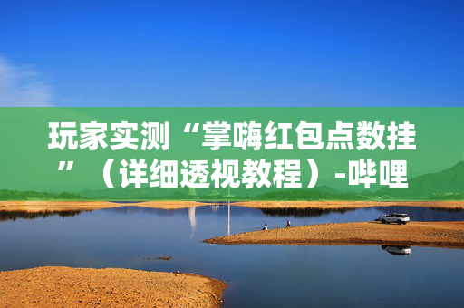 玩家实测“掌嗨红包点数挂”（详细透视教程）-哔哩哔哩