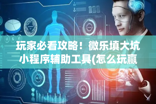玩家必看攻略！微乐填大坑小程序辅助工具(怎么玩赢几率大)