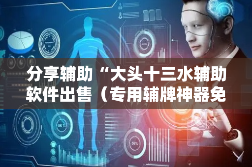 分享辅助“大头十三水辅助软件出售（专用辅牌神器免安装）