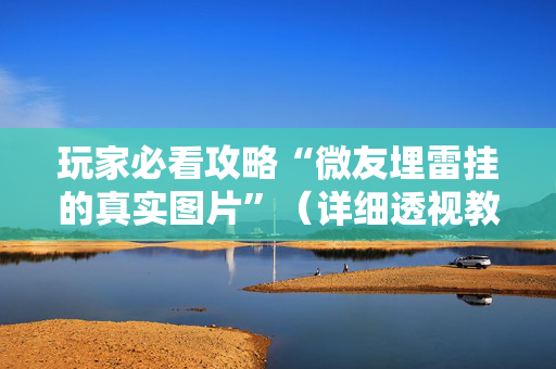 玩家必看攻略“微友埋雷挂的真实图片”（详细透视教程）-哔哩哔哩