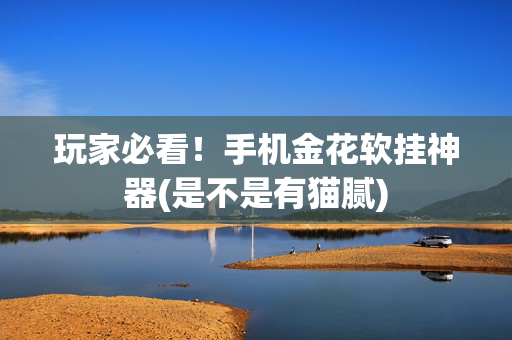 玩家必看！手机金花软挂神器(是不是有猫腻)
