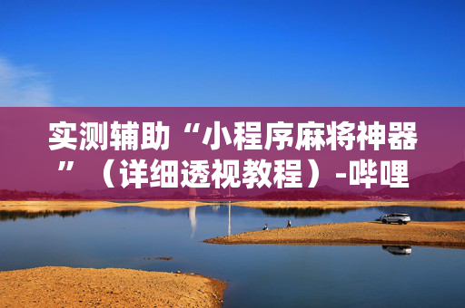 实测辅助“小程序麻将神器”（详细透视教程）-哔哩哔哩