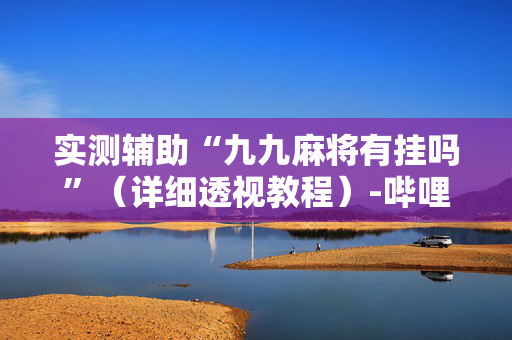 实测辅助“九九麻将有挂吗”（详细透视教程）-哔哩哔哩