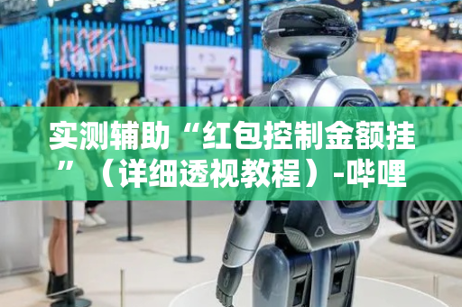 实测辅助“红包控制金额挂”（详细透视教程）-哔哩哔哩