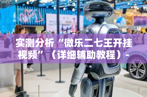 实测分析“微乐二七王开挂视频”（详细辅助教程）-哔哩哔哩