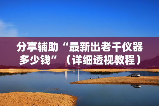 分享辅助“最新出老千仪器多少钱”（详细透视教程）-哔哩哔哩
