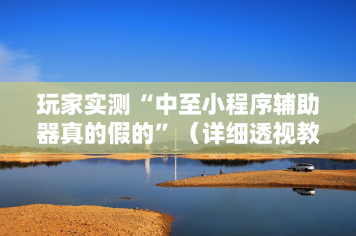 玩家实测“中至小程序辅助器真的假的”（详细透视教程）-哔哩哔哩