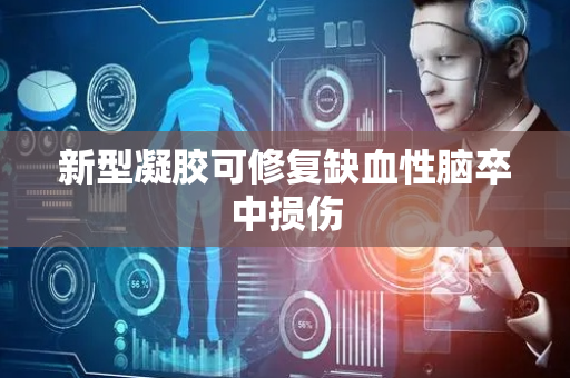 新型凝胶可修复缺血性脑卒中损伤
