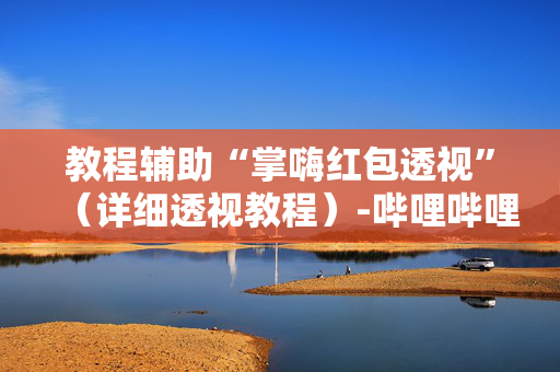 教程辅助“掌嗨红包透视”（详细透视教程）-哔哩哔哩