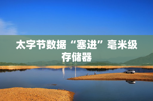 太字节数据“塞进”毫米级存储器