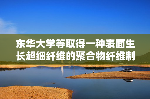 东华大学等取得一种表面生长超细纤维的聚合物纤维制备专利