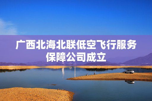 广西北海北联低空飞行服务保障公司成立