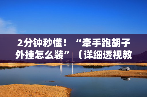 2分钟秒懂！“牵手跑胡子外挂怎么装”（详细透视教程）-哔哩哔哩