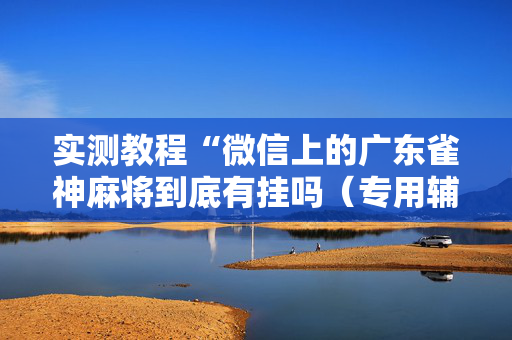 实测教程“微信上的广东雀神麻将到底有挂吗（专用辅牌神器免安装）