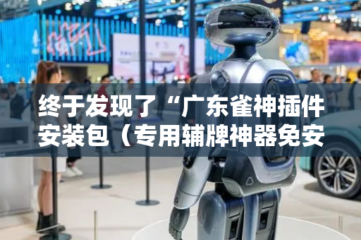 终于发现了“广东雀神插件安装包（专用辅牌神器免安装）