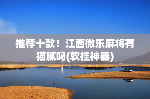 推荐十款！江西微乐麻将有猫腻吗(软挂神器)