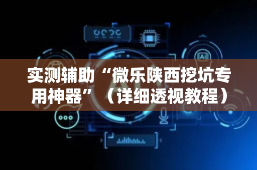 实测辅助“微乐陕西挖坑专用神器”（详细透视教程）-哔哩哔哩
