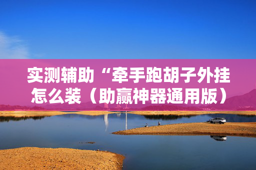 实测辅助“牵手跑胡子外挂怎么装（助赢神器通用版）