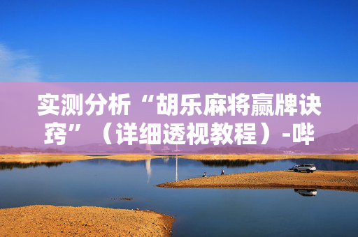 实测分析“胡乐麻将赢牌诀窍”（详细透视教程）-哔哩哔哩