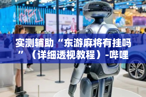 实测辅助“东游麻将有挂吗”（详细透视教程）-哔哩哔哩