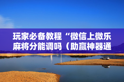 玩家必备教程“微信上微乐麻将分能调吗（助赢神器通用版）