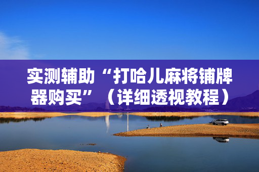 实测辅助“打哈儿麻将铺牌器购买”（详细透视教程）-哔哩哔哩