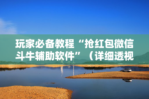 玩家必备教程“抢红包微信斗牛辅助软件”（详细透视教程）-哔哩哔哩