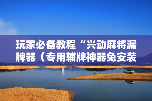 玩家必备教程“兴动麻将漏牌器（专用辅牌神器免安装）