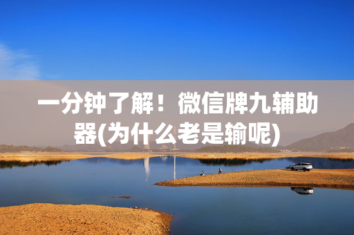 一分钟了解！微信牌九辅助器(为什么老是输呢)