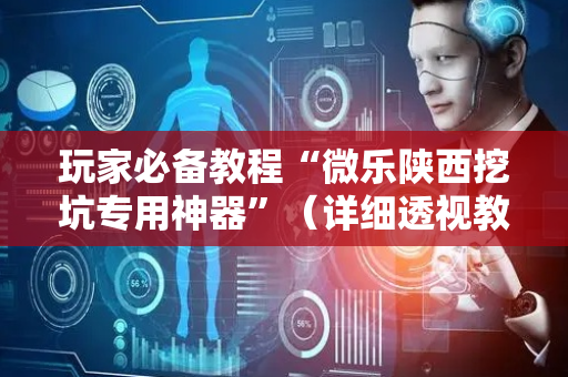 玩家必备教程“微乐陕西挖坑专用神器”（详细透视教程）-哔哩哔哩