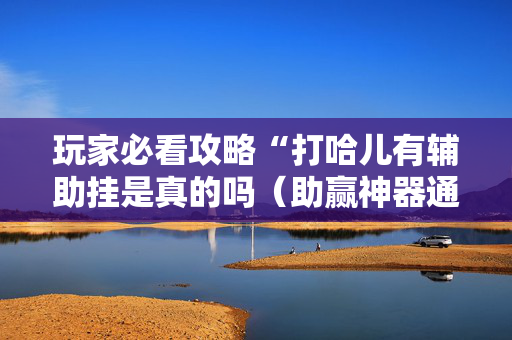玩家必看攻略“打哈儿有辅助挂是真的吗（助赢神器通用版）