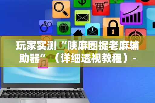 玩家实测“陕麻圈捉老麻辅助器”（详细透视教程）-哔哩哔哩