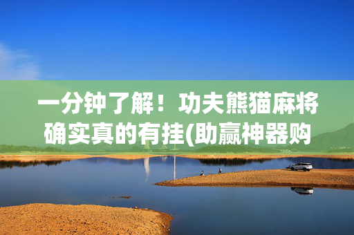 一分钟了解！功夫熊猫麻将确实真的有挂(助赢神器购买)