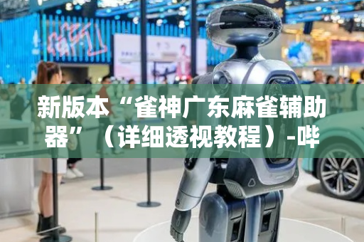 新版本“雀神广东麻雀辅助器”（详细透视教程）-哔哩哔哩