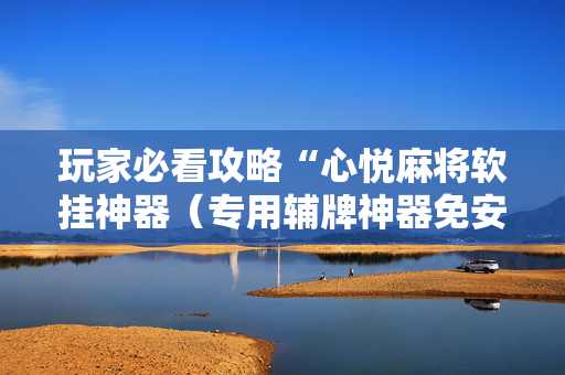 玩家必看攻略“心悦麻将软挂神器（专用辅牌神器免安装）