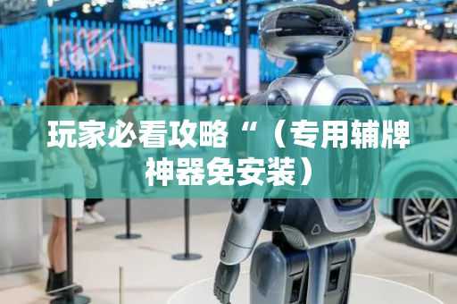 玩家必看攻略“（专用辅牌神器免安装）
