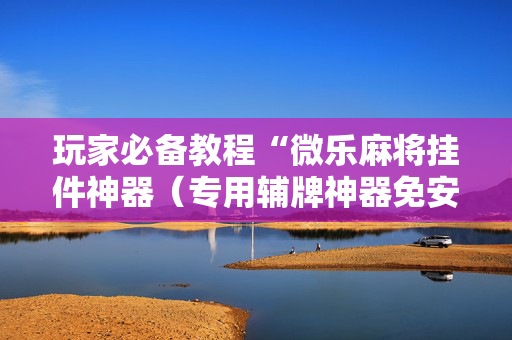 玩家必备教程“微乐麻将挂件神器（专用辅牌神器免安装）