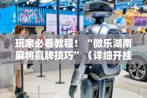 玩家必看教程！“微乐湖南麻将赢牌技巧”（详细开挂教程）-哔哩哔哩