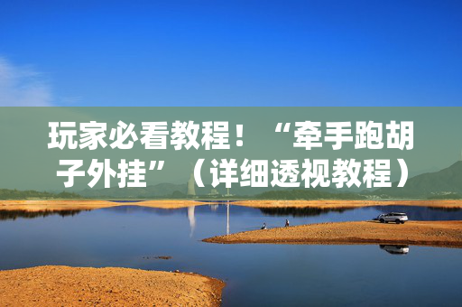 玩家必看教程！“牵手跑胡子外挂”（详细透视教程）-哔哩哔哩