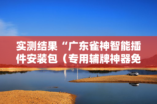 实测结果“广东雀神智能插件安装包（专用辅牌神器免安装）