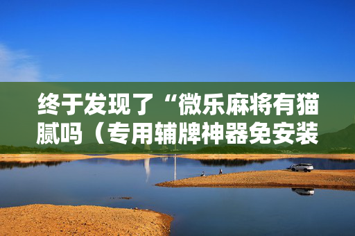 终于发现了“微乐麻将有猫腻吗（专用辅牌神器免安装）