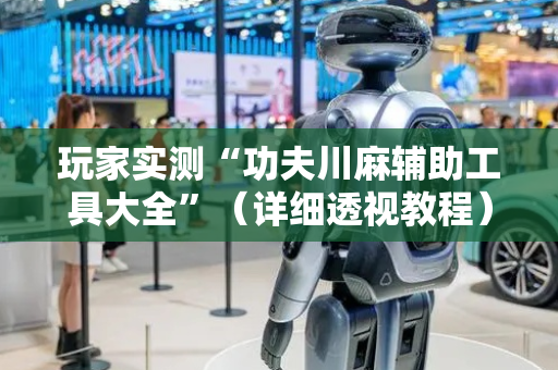 玩家实测“功夫川麻辅助工具大全”（详细透视教程）-哔哩哔哩