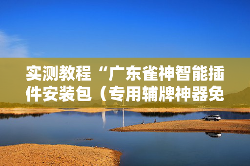 实测教程“广东雀神智能插件安装包（专用辅牌神器免安装）