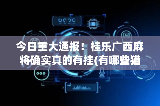 今日重大通报！桂乐广西麻将确实真的有挂(有哪些猫腻)
