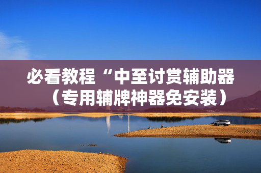 必看教程“中至讨赏辅助器（专用辅牌神器免安装）
