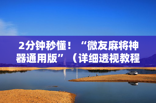 2分钟秒懂！“微友麻将神器通用版”（详细透视教程）-哔哩哔哩