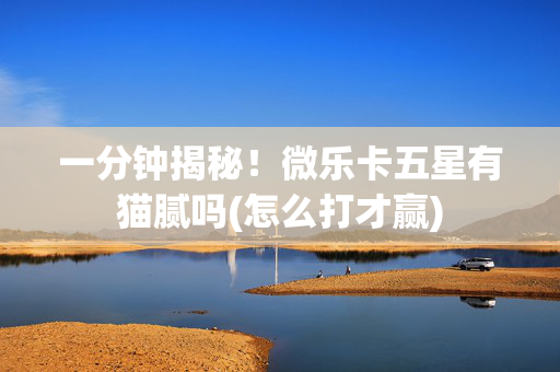一分钟揭秘！微乐卡五星有猫腻吗(怎么打才赢)