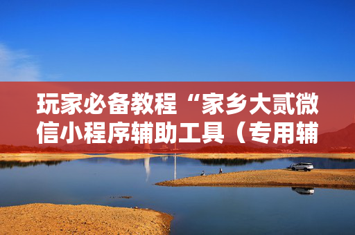 玩家必备教程“家乡大贰微信小程序辅助工具（专用辅牌神器免安装）
