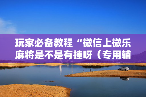 玩家必备教程“微信上微乐麻将是不是有挂呀（专用辅牌神器免安装）