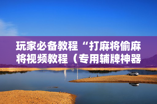 玩家必备教程“打麻将偷麻将视频教程（专用辅牌神器免安装）